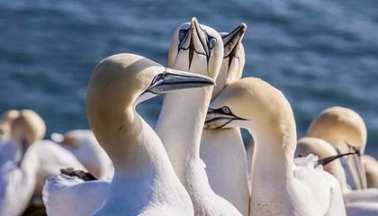 爱游戏体育官方网站-火箭新援称加盟后信心倍增，火箭新援称加盟后信心倍增是真的吗